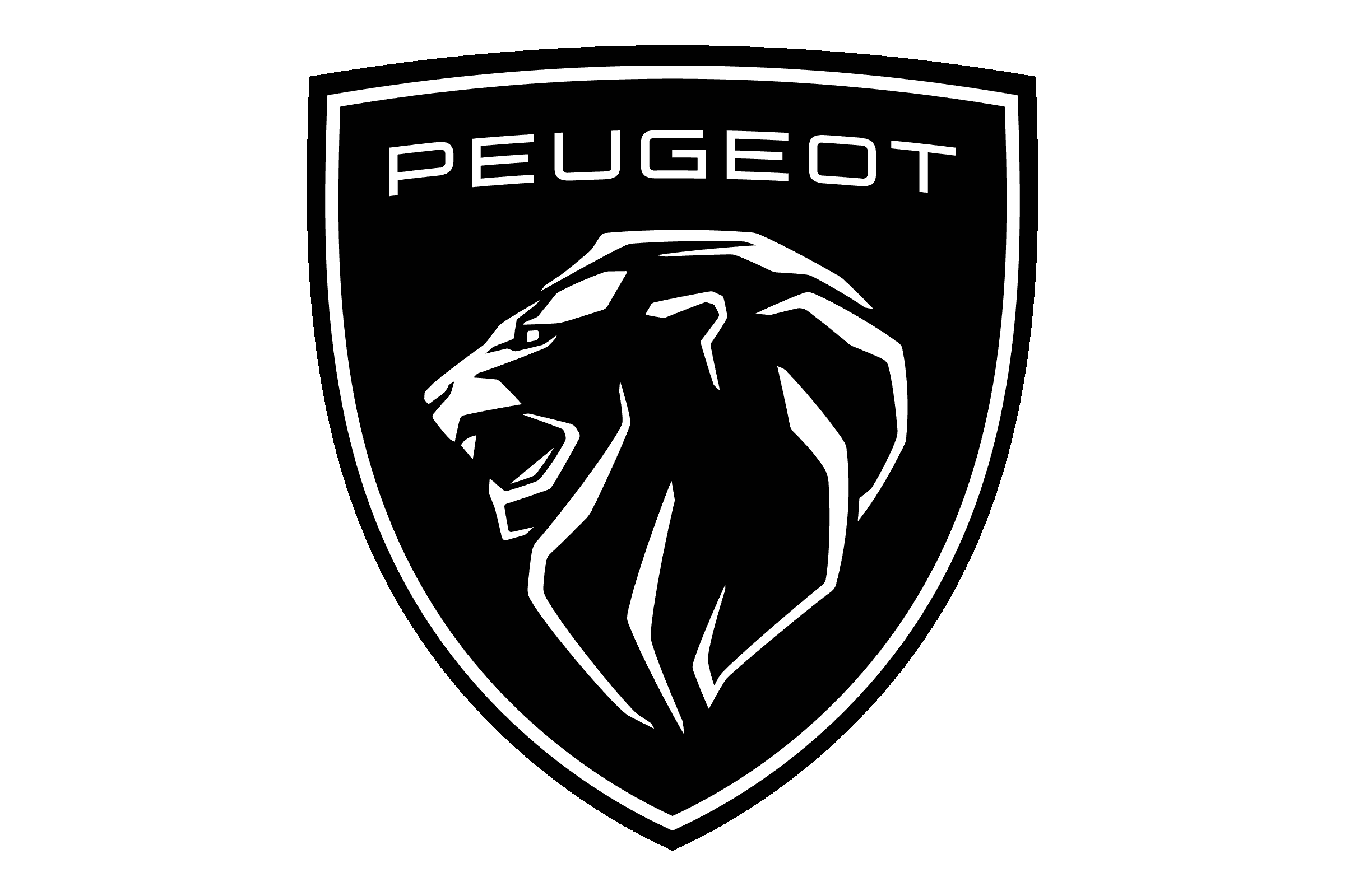 Logo 4